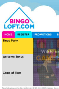 bingoloft.com 320x480