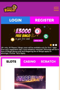 budgetbingo.co.uk 320x480