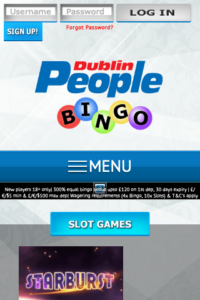 dublinpeoplebingo.com 320x480