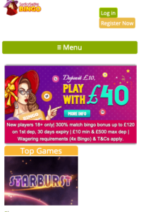 luckyladiesbingo.com 320x480