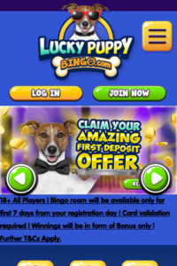 luckypuppybingo.com 320x480
