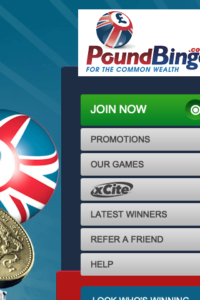 poundbingo.com 320x480