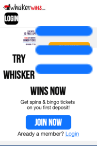 whiskerwins.com 320x480