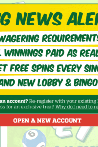 zingerbingo.com 320x480