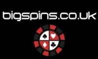 Big Spins logo