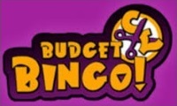 Budget Bingo Featured Image