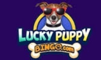 Luckypuppy Bingologo