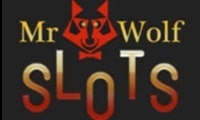 Mr Wolf Slots