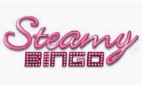 Steamy Bingo logo