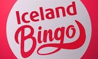 Bingo Iceland logo