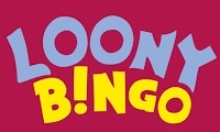 Loony Bingo logo