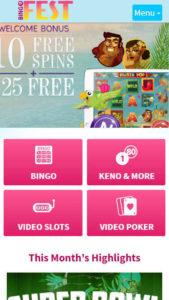 bingofest mobile screenshot
