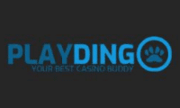 Playdingo Casino logo