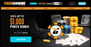 tigergaming casino desktop screenshot