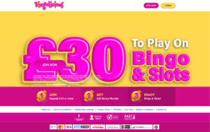 bingo licious laptop screenshot 2021
