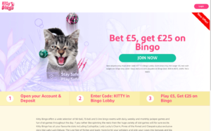 Kitty Bingo Website