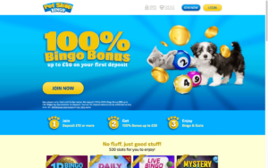 pet shop bingo laptop screenshot 2021