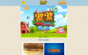 woolly bingo laptop screenshot 2021