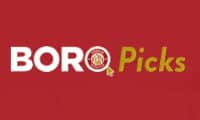 boro picks logo