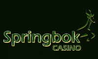 springbok casino logo