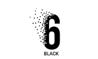6 Black logo