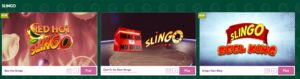 Paddy Power Bingo Slingo