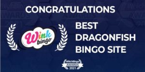 Wink Bingo Award