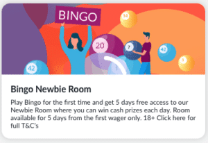 betvictor bingo newbie room