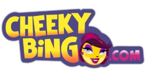 Cheeky Bingo Banner