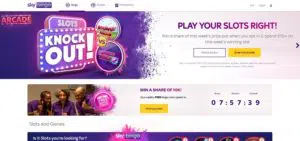 Sky Bingo sister sites homepage