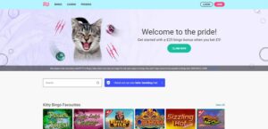 Kitty Bingo Website