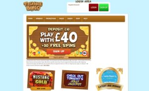 Treasure Bingo Website 1
