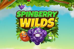 Karamba Spinberry Wilds