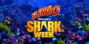 Vegas Moose Slingo Shark Week