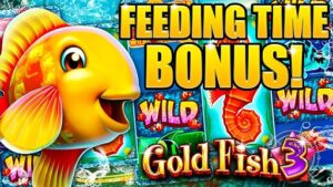 PlaySunny WIld Gold Fish