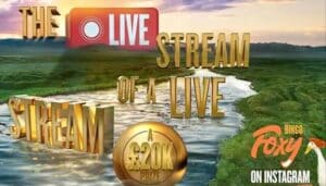 Foxy Games Live Stream of a Live Stream