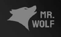 Mr Wolf Slots Logo