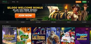 Wild Casino sister sites homepage