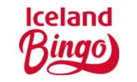 bingo iceland logo 2024
