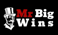 mr big wins logo 2024