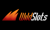 wild slots logo 2024
