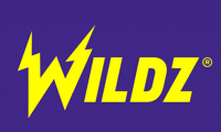 wildz casino logo 2024