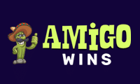 amigo wins logo 2024