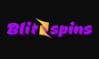 blitz spins logo 2024
