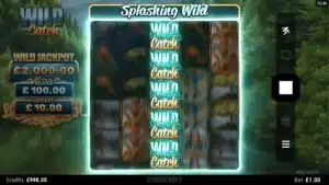 Broadway Gaming Wild Catch slot
