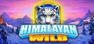 Himalayan Wild slot