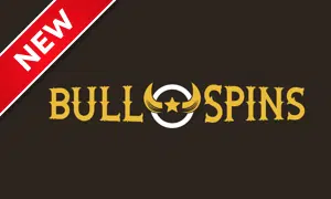 Bull Spins logo