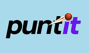 Punt It sister sites logo
