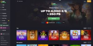 Wild Fortune Gameplay